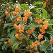 ヒメ日記 2025/10/27 08:54 投稿 篠原 ANECOTE