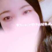 ヒメ日記 2025/05/21 10:15 投稿 とも ぷよラブ れぼりゅ～しょん