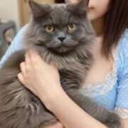 ヒメ日記 2026/04/13 15:00 投稿 里崎玲子 五十路マダム姫路店