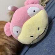 めい ぺろぺろぺ〜 あふたーすくーる本店