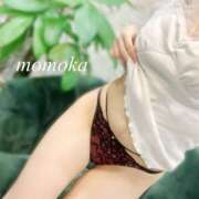 ヒメ日記 2025/03/14 18:24 投稿 星川　ももか 快楽園 大阪梅田