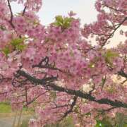 ヒメ日記 2025/04/01 07:23 投稿 星川　ももか 快楽園 大阪梅田