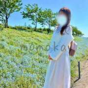 ヒメ日記 2025/04/21 08:06 投稿 星川　ももか 快楽園 大阪梅田