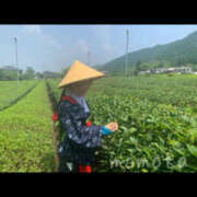 ヒメ日記 2025/07/17 20:39 投稿 星川　ももか 快楽園 大阪梅田