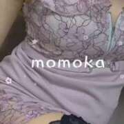 ヒメ日記 2025/07/31 17:39 投稿 星川　ももか 快楽園 大阪梅田