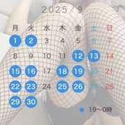 ヒメ日記 2025/08/29 12:09 投稿 星川　ももか 快楽園 大阪梅田