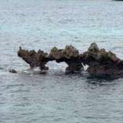 ヒメ日記 2025/10/24 18:49 投稿 星川　ももか 快楽園 大阪梅田