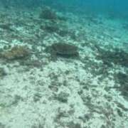 ヒメ日記 2025/10/24 20:09 投稿 星川　ももか 快楽園 大阪梅田