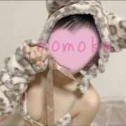 ヒメ日記 2025/11/29 18:19 投稿 星川　ももか 快楽園 大阪梅田