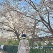 ヒメ日記 2026/04/11 21:15 投稿 星川　ももか 快楽園 大阪梅田