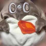 ヒメ日記 2025/01/26 20:19 投稿 らん 香川高松ちゃんこ