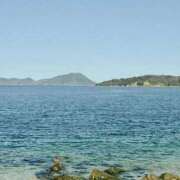 ヒメ日記 2025/03/20 21:49 投稿 らん 香川高松ちゃんこ