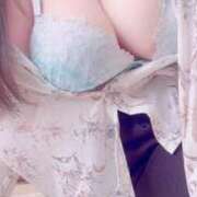 ヒメ日記 2025/03/23 17:29 投稿 らん 香川高松ちゃんこ