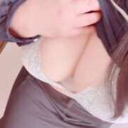 ヒメ日記 2025/04/01 12:19 投稿 らん 香川高松ちゃんこ