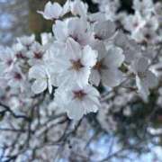 ヒメ日記 2025/04/22 18:19 投稿 らん 香川高松ちゃんこ