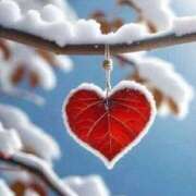 ヒメ日記 2025/02/04 23:50 投稿 入江咲良 五十路マダム姫路店