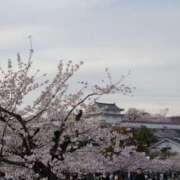 ヒメ日記 2025/04/06 15:44 投稿 入江咲良 五十路マダム姫路店