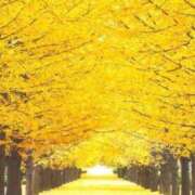 ヒメ日記 2025/11/25 19:50 投稿 入江咲良 五十路マダム姫路店