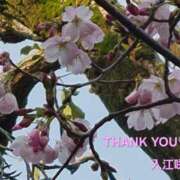 入江咲良 2026.03.25 THANK YOU♪ 五十路マダム姫路店