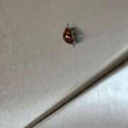 ヒメ日記 2024/12/19 09:13 投稿 鏡 セクシーキャット 神田店