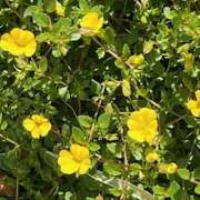 ヒメ日記 2024/12/22 08:55 投稿 鏡 セクシーキャット 神田店