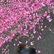 ヒメ日記 2024/12/23 09:37 投稿 鏡 セクシーキャット 神田店