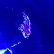 ヒメ日記 2024/12/25 09:40 投稿 鏡 セクシーキャット 神田店