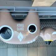 ヒメ日記 2025/01/13 16:28 投稿 鏡 セクシーキャット 神田店