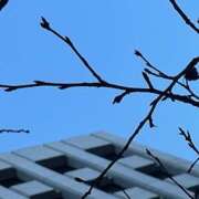 ヒメ日記 2025/01/15 09:17 投稿 鏡 セクシーキャット 神田店