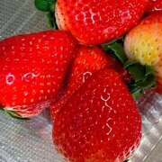 ヒメ日記 2025/01/19 18:59 投稿 鏡 セクシーキャット 神田店