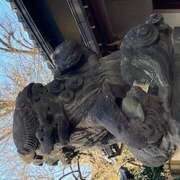 ヒメ日記 2025/02/05 09:40 投稿 鏡 セクシーキャット 神田店