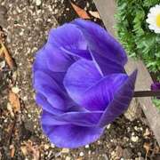 ヒメ日記 2025/02/05 17:01 投稿 鏡 セクシーキャット 神田店