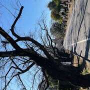 ヒメ日記 2025/02/12 09:04 投稿 鏡 セクシーキャット 神田店