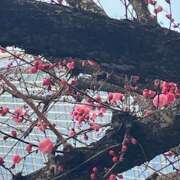 ヒメ日記 2025/02/26 09:13 投稿 鏡 セクシーキャット 神田店