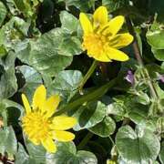 ヒメ日記 2025/03/09 09:47 投稿 鏡 セクシーキャット 神田店