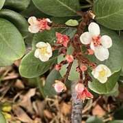 ヒメ日記 2025/03/16 09:35 投稿 鏡 セクシーキャット 神田店