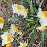 ヒメ日記 2025/03/17 09:32 投稿 鏡 セクシーキャット 神田店