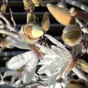 ヒメ日記 2025/03/20 08:57 投稿 鏡 セクシーキャット 神田店