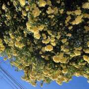 ヒメ日記 2025/04/23 09:09 投稿 鏡 セクシーキャット 神田店