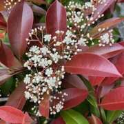 ヒメ日記 2025/04/24 09:08 投稿 鏡 セクシーキャット 神田店