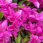 ヒメ日記 2025/05/01 17:54 投稿 鏡 セクシーキャット 神田店