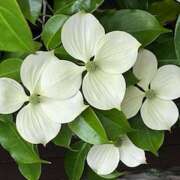 ヒメ日記 2025/05/04 08:56 投稿 鏡 セクシーキャット 神田店