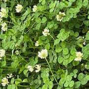 ヒメ日記 2025/05/18 08:58 投稿 鏡 セクシーキャット 神田店