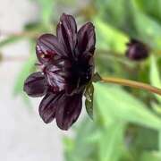 ヒメ日記 2025/05/19 09:29 投稿 鏡 セクシーキャット 神田店