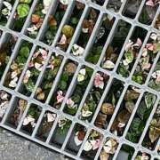 ヒメ日記 2025/05/21 09:15 投稿 鏡 セクシーキャット 神田店