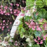 ヒメ日記 2025/05/28 09:19 投稿 鏡 セクシーキャット 神田店