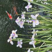 ヒメ日記 2025/05/29 09:51 投稿 鏡 セクシーキャット 神田店