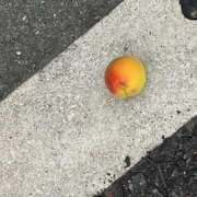 ヒメ日記 2025/06/05 09:23 投稿 鏡 セクシーキャット 神田店