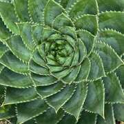 ヒメ日記 2025/06/18 09:57 投稿 鏡 セクシーキャット 神田店