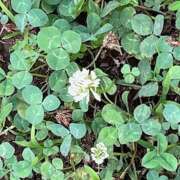 ヒメ日記 2025/07/02 09:10 投稿 鏡 セクシーキャット 神田店